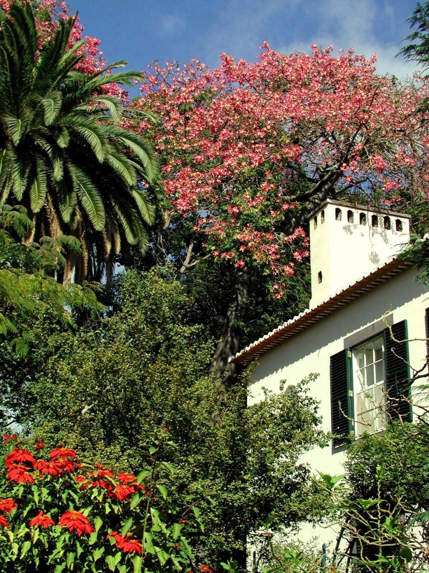 Отель Quinta Da Bela Vista Фуншал Экстерьер фото